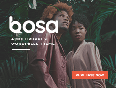Bosa Agency Adsbanner